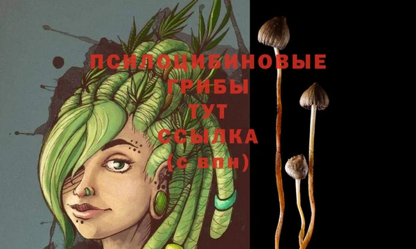 MDMA Premium VHQ Алзамай