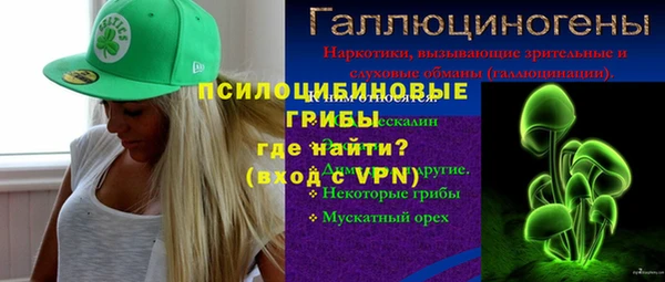 бошки Абаза